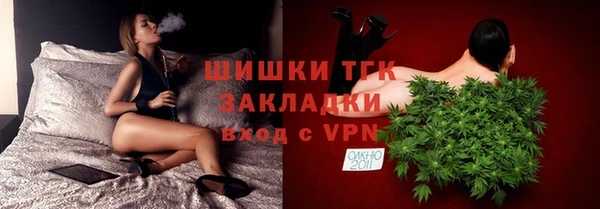твердый Дмитриев