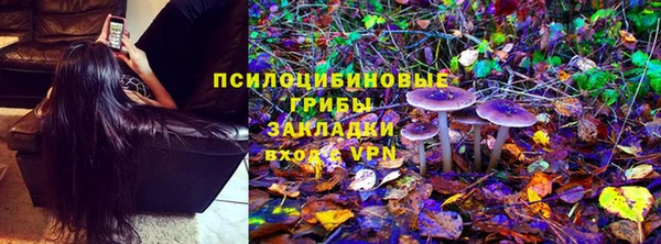стафф Дмитров