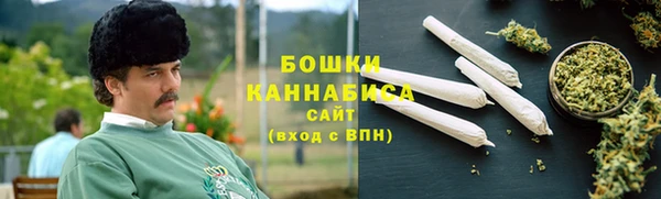 твердый Дмитриев