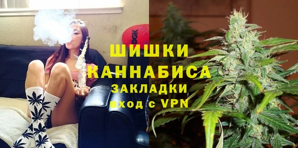 стафф Дмитров