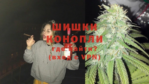 твердый Дмитриев