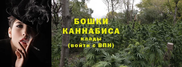 стафф Дмитров