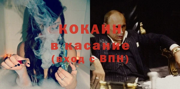 твердый Дмитриев