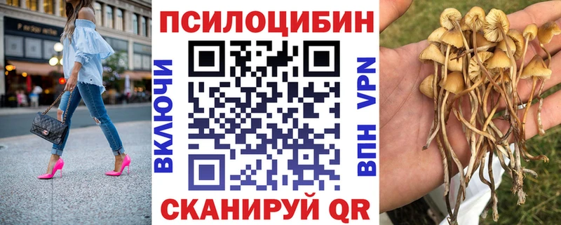 Купить закладки Благодарный Галлюциногенные грибы Psilocybine cubensis